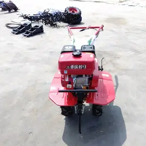 �߲˴�����ػ� ���ô����������� ��԰ˮ����ش����