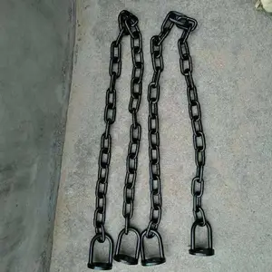 ������ɫԲ������ ���ڹ�· �ӵ� ������������ ³�˳���