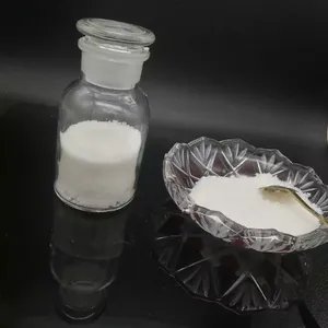 ���� �Ȱ�����ת��ø���� ø�Ƽ� ��������