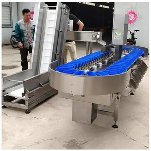 ���������������ѡ�� ����