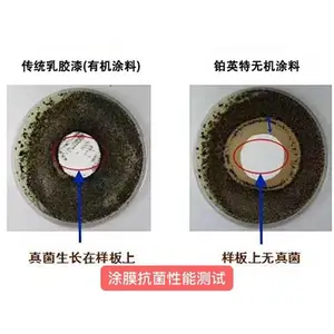 厂家批发铂英特0级防霉抗菌无机矿物涂料 医院/学校/地铁站内墙工程无机矿物涂料