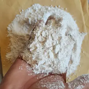 ��ĸ ��ϸ��ĸ�� ����ĸ�� Ϳ�������� ���𻯹�������