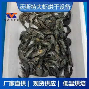 微波海产品烘干杀菌设备 大虾烘干烘烤 烘干设备 沃斯特