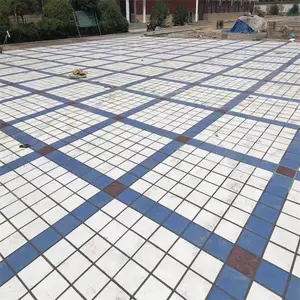 公园小区广场瓷砖地铺石300x300市园林人行道地面砖