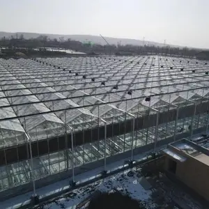 寿光贝塔农业科技有限公司