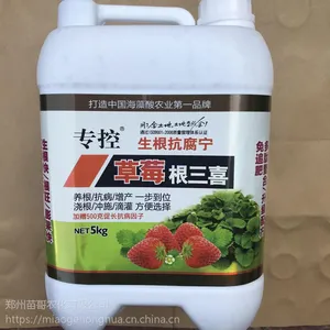 ***黄萎病根腐病红中柱病草莓根三喜***黑根红根烂根死苗沤根效果好促进草莓快生根生壮根
