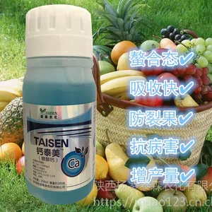 ��̩�� �Ǵ��� ����� �Ʒ� ̩ɭ��̩�� ���ѸƷ� ƻ���Ʒ� ����