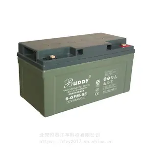 ��������6-GFM-150 12V150AH BUDDY����ʽ�ܷ�Ǧ������