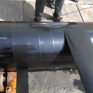 ��������ϩ������ ���������׳��� ������ ���ʽ������
