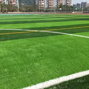 �������ƺ��ɫ���ϸ��ȵ�̺�˹����������Ƥ���˶�������ٲ�