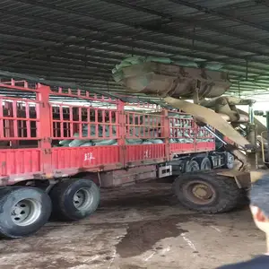 重庆散装营养土 散装腐殖土 屋顶轻质土 草炭土 厂家***格