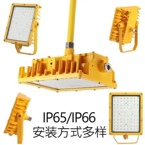 SZSW8121-200W_SZSW8121防爆LED投光灯_大功率防腐泛光灯