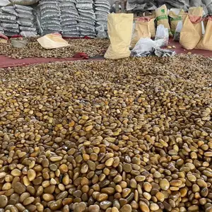 ��Ȼ����ʯ���� ˮ��������ʯ ��ˮ���������ϵ�� ֧�ַ���