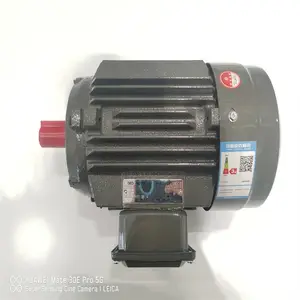 �����첽�綯�� YE2-100L2-4 3KWB5 �¶������