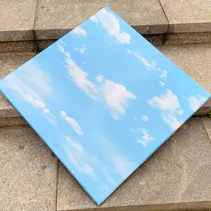 ���ɵ������۰�600X600ƽ��������Ƹ�Ĥ�幤�̲��Ϸ�ɽ����ֱ��