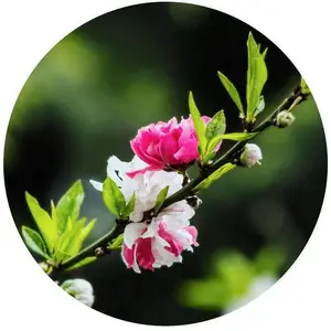 ���һ��������������һ���ľ�� �� �һ� ���ؾ�6����30Ԫ�ϳ�