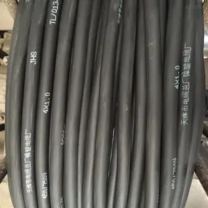 JHSB3X16��ˮ���׵��� JHS3X16+1X10Ǳˮ�ñ����� Сè��