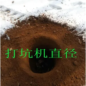����С���ڹ��� �ڿӻ������ֻ�