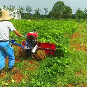 չ����е����ʽ�����߱��ɸ�ɹ�������͸�ɹ��ˮ��С�������ո��
