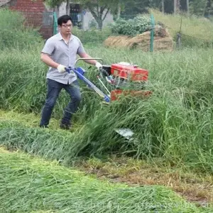 �����ո������ר�ø�ɹ������������ɹ������