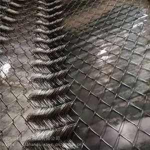 三维植被网 植草护坡镀锌铁丝网 生产销售边坡绿化喷播挂网 勾花网8.14