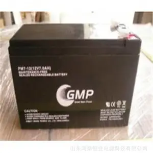 GMP蓄电池PM100-12 12V100AH铅酸蓄电池 EPS电源蓄电池