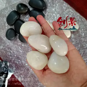 打磨景观白色鹅卵石-园林绿化点缀鹅卵石-创景奇石场雨花石鹅卵石