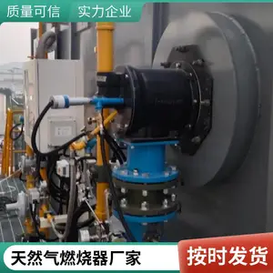 岱鼎燃烧 干燥炉阳极炉燃气烧嘴高炉煤气工业燃烧器裂解气源头厂家