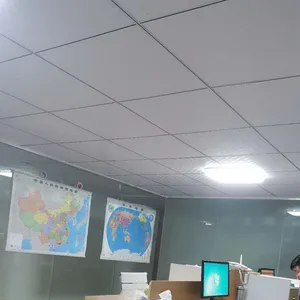 东莞市枫雅机电设备有限公司