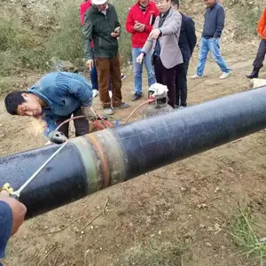 ���ϲ��ƹ��������� �����ִ��������� �ܵ������� ������