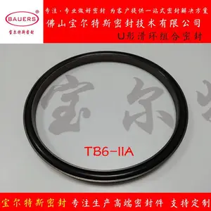 活塞孔用U形滑环式组合密封TB6-IIA车氏密封300Mpa
