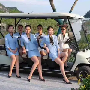 成都可租售回收观光车巡逻车等多种电动车