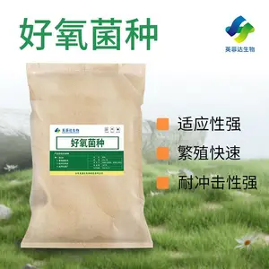污水处理好氧菌
