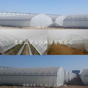 ����������ӣ��������ֲ������̩���Ҳ���YTWSCQ1279