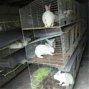 钢铁丝狗笼子 小中大型犬鸡笼 兔子笼鸽子笼
