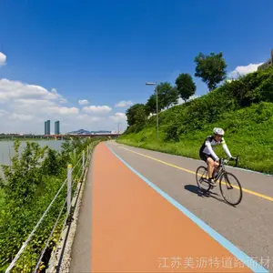 美丽的彩色陶瓷颗粒路面 美沥特