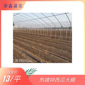 温室大棚 蔬菜大棚 日光温室 简易冷棚