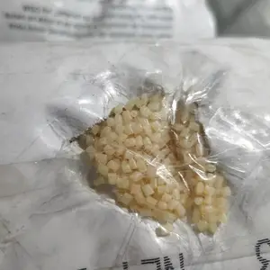 ����DSM��ǿ��PA46�߽ᾧ�Ⱦ�������֬ͨ�ü�����
