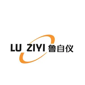 山东鲁仪自动化有限公司