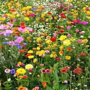 ���ų��໤�²������ӹ�˾��ַ�������Ĳ�����