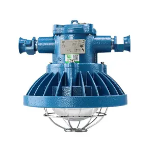 ú���þ���������DGS24/127L������LED����ƹ�Դ����220V