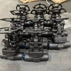 Z41Y-150LB DN15 ����͸ַ���բ�� �͸�ѹ����բ����ѹШʽֹ�ط�