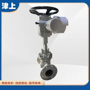 ���ϲ��ɵ� �糧���ַ����綯��ֹ�� J941H-16C DN65 DN80 DN100