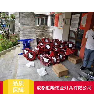 居住区6m高效率路灯_胜隆伟业马藏式路灯_智能路灯现货