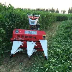 �ַ�ʽ��ޣ�����ո�������� ��������׽ոѸ�ɹ�� �����ո�