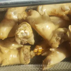 ˢ���Ż�������Ǯ ����������ϴ�� ����ëˢ��ϴ�� �ͺ�ȫ***��