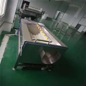厂家直销毛辊清洗机 洋葱毛辊清洗机 全自动毛辊清洗机价格