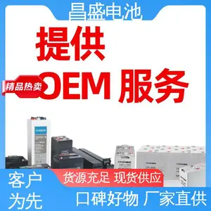 ��ʢ OPzV2-100 ͨ�� �ź�ϵͳ���õ�Դ ̫���ܵ�� ��ʽ��������