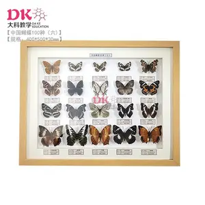 �й������걾100�� ���40*50cm 6��װ���ظ���Ʒ����� �����ģ�