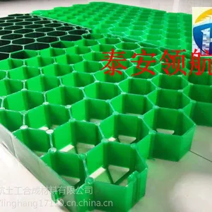 深圳6公分植草格生产基地厂家欢迎您